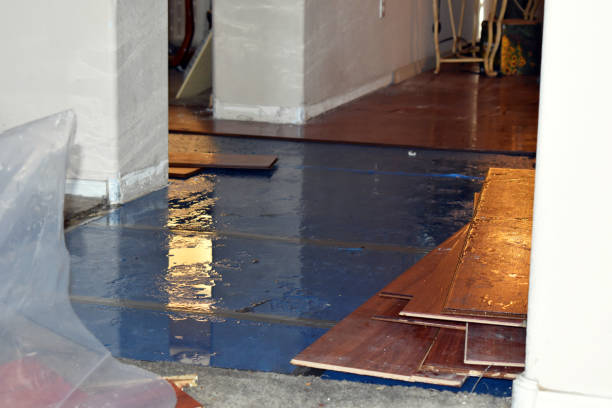 Professional Flood Cleanup technician working in Percy, IL